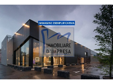 Foto Ufficio in Via Giuseppe Gioacchino Belli, Parma Pablo - Prati Bocchi