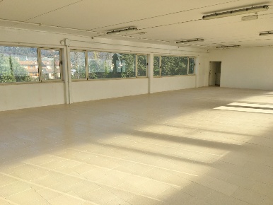 Foto Magazzino in via dei Metalmeccanici, Camaiore Capezzano Pianore