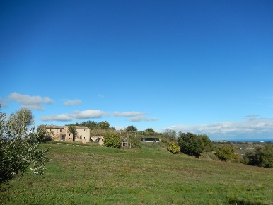 Foto Agriturismo a Cupra Marittima di 1000 m² in vendita