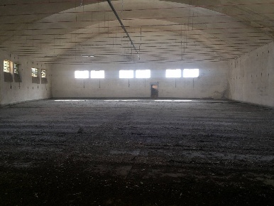 Foto Attività commerciale a Lucca Piazza Napoleone - San Michele di 4000 m²