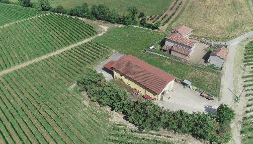 Foto Cessione attività in via Ritane, Isola d'Asti Repergo di 1350 m²