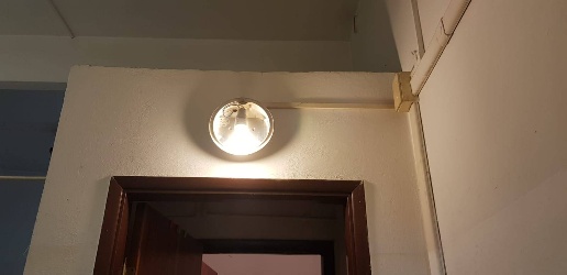 Foto Attività commerciale in via san carlo, San Miniato Centro Storico