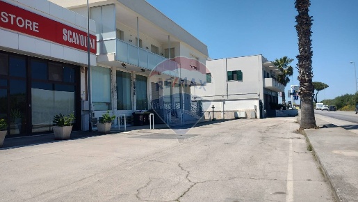 Foto Attività commerciale a Barletta Via Trani - Madonna dello Sterpeto