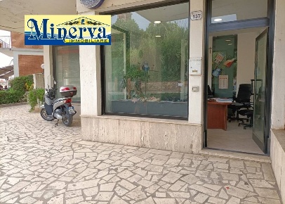 Foto Locale commerciale in corso Giacomo Matteotti, Nettuno Centro di 38 m²