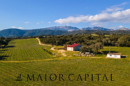 Foto Cessione attività in Località San Michele, Berchidda con 4 locali