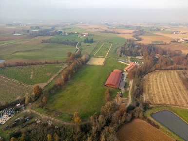 Foto Attività commerciale in Strada Menabò, Cellarengo di 1000 m²