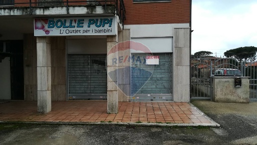 Foto Negozio in Via delle Pinete, Ardea Lido dei Pini di Ardea - Lupetta
