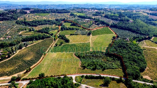 Foto Cessione attività a Montespertoli di 600 m² con 10 locali in vendita