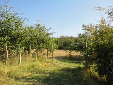 Foto Cessione attività in Via Serra, San Marcello di 44000 m² in vendita