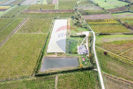Foto Locale commerciale a Casalbordino di 23000 m² con 4 locali in vendita