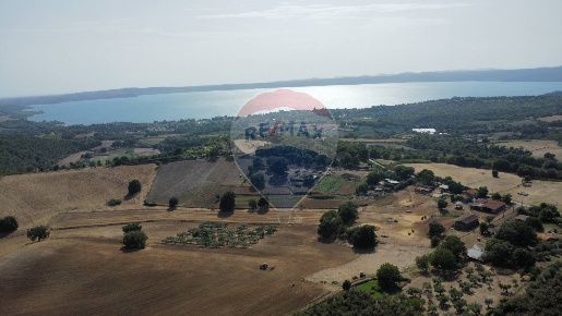 Foto Cessione attività in via di monterosi, Trevignano Romano Cala Pianorum