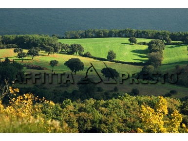 Foto Ufficio a Collesalvetti di 38 m² con 1 locali in affitto
