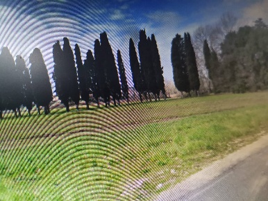 Foto Laboratorio in VIA PROVINCIALE VICARESE, Vicopisano Centro di 98 m²