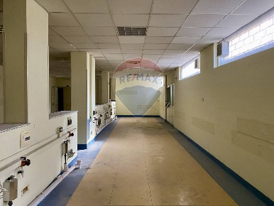 Foto Locale commerciale in Via Donato Bramante, Palermo di 517 m²