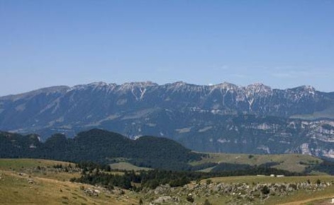 Foto Bar a Bosco Chiesanuova Centro di 300 m² con 2 locali in vendita