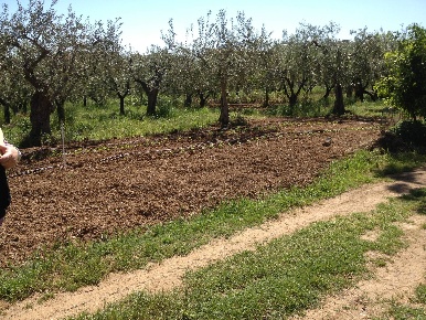 Foto Agriturismo in VIA SAN SISTO, Vasto di 2465 m² in vendita