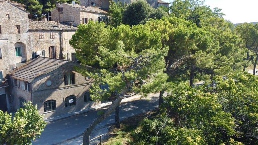Foto Villa singola in viale gorizia, Campofilone Centro di 225 m²