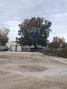 Foto Attività commerciale in Via Andrea Vici, Foligno di 500 m² in affitto
