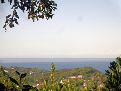 Foto Cessione attività in Valle Literno, Campo nell'Elba in vendita