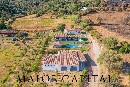 Foto Attività commerciale in Loc. Gheddosà, Torpè Centro di 400 m²