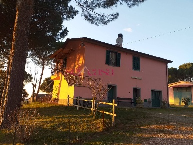 Foto Agriturismo a Magliano in Toscana di 600 m² in vendita