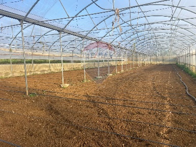 Foto Cessione attività in Parrini, Partinico di 11000 m² con 1 locali