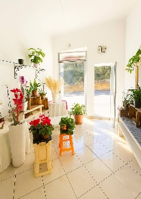 Foto Locale commerciale in Via Roma, Caltagirone Centro di 40 m² in vendita