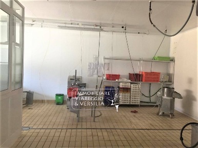 Foto Laboratorio in via dei Peecchi, Viareggio Bicchio - Varignano