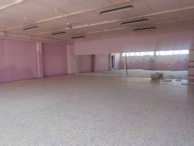 Foto Attività commerciale in via dello stillo, Capannoli Centro di 405 m²