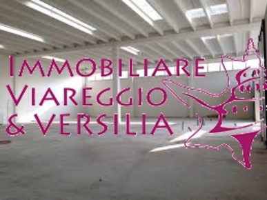 Foto Magazzino in via delle Cannelle, Massarosa di 580 m² in vendita
