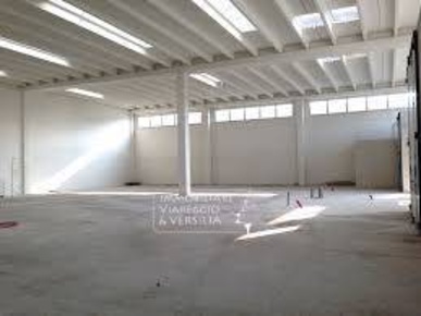 Foto Magazzino a Massa Rinchiostra - Quercioli di 2000 m² in vendita