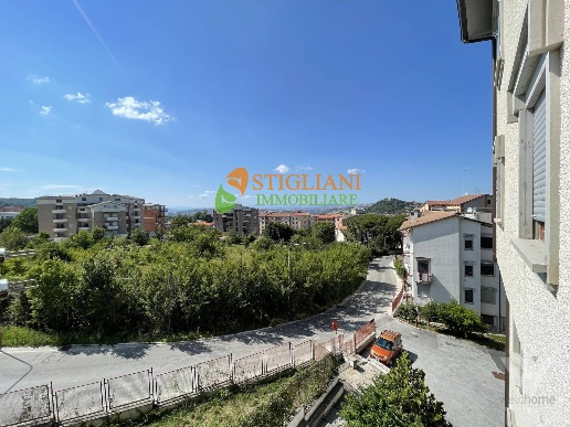 immagine annuncio 7 di 14