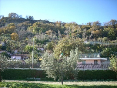 Foto Attività commerciale in Via Adriatica Sud, Cupra Marittima di 1000 m²