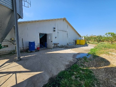Foto Cessione attività in Strada Ferento, Viterbo Teverina di 2200 m²