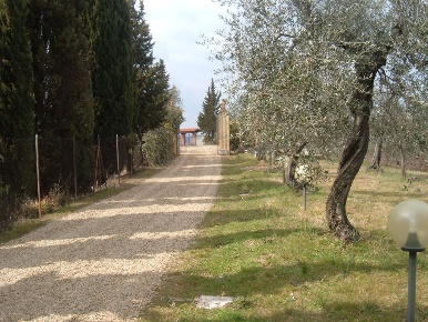 Foto Cessione attività a Montespertoli di 350 m² in vendita