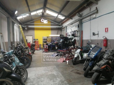 Foto Magazzino in via dei Peecchi, Viareggio Bicchio - Varignano di 155 m²