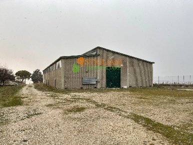 Foto Locale commerciale in S.P. 13, Petrella Tifernina di 920 m² in vendita