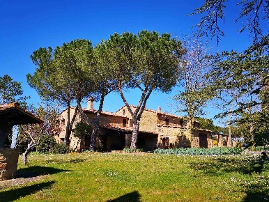Foto Cessione attività a Pienza di 538 m² con 17 locali in vendita