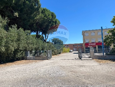 Foto Locale commerciale in Strada Dell'Airone, Orbetello di 975 m²