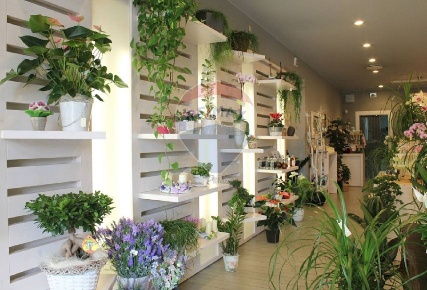 Foto Negozio a Mestrino Centro di 73 m² con 1 locali in affitto