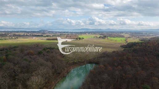 Foto Cessione attività in Via Castagni, Castiglione del Lago di 400 m²