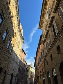 Foto Attività commerciale in Via dei Rossi 108, Siena Ovile - San Francesco