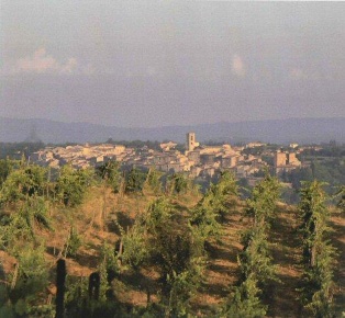 Foto Cessione attività a Colle di Val d'Elsa di 2000 m² in vendita