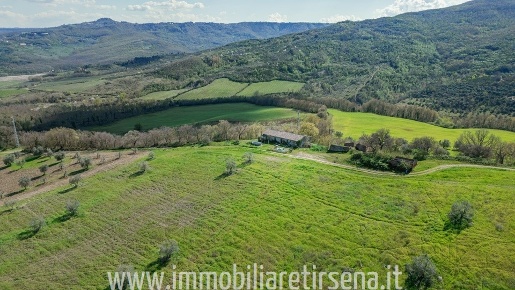 Foto Cessione attività a Allerona in vendita