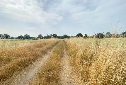 Foto Cessione attività in Via Vitellino 72, Castiglione del Lago Vitellino