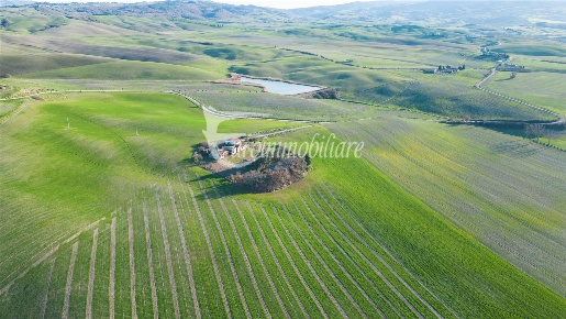 Foto Cessione attività a Castiglione d'Orcia di 570 m² in vendita