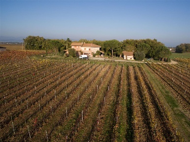 Foto Cessione attività a Castiglione del Lago di 588 m² con 17 locali