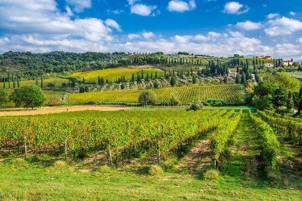 Foto Cessione attività a Semproniano di 700 m² con 20 locali in vendita
