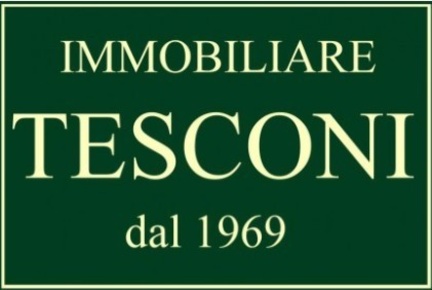 Foto Attività commerciale a Pietrasanta di 7000 m² in vendita