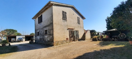 Foto Cessione attività a Magliano in Toscana di 170 m² con 4 locali